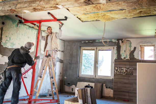 Best Commercial Insulation Contractor  in Meraux, LA