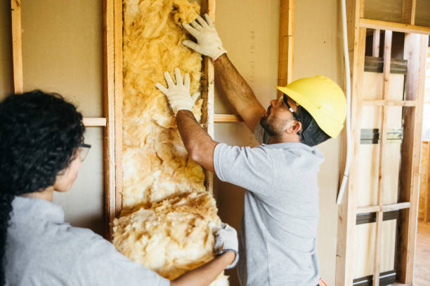 Range of Insulation Solutions in Meraux, LA